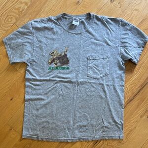 Gray Alaska Graphic Men's T-Shirt